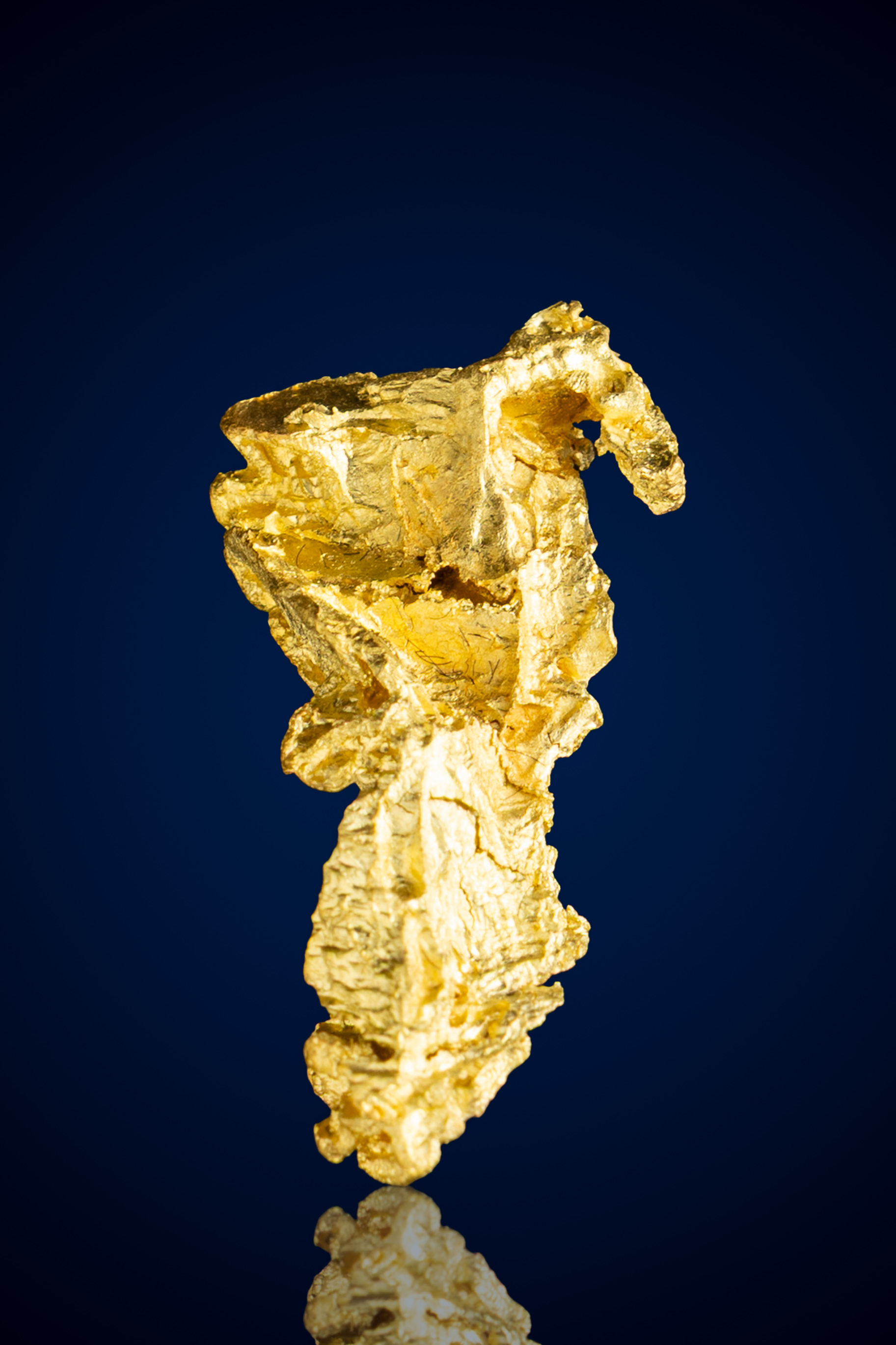 Sculptural, Lustrous Natural Gold Nugget - Mariposa County, CA - 2.69 grams (image for) Sculptural, Lustrous Natural Gold Nugget - Mariposa County, CA - 2.69 grams